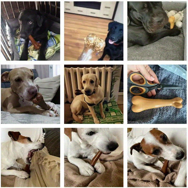 12/15cm Realistic Bone Dog Chew Toy with Wooden Chew Beads & PP Material - Durable, Anti-Bite Design, Interactive Teething Toy for Small Dogs, Pet Reward for Dental Health, Dental Health Tool, Natural Look, Safe Material, Sma