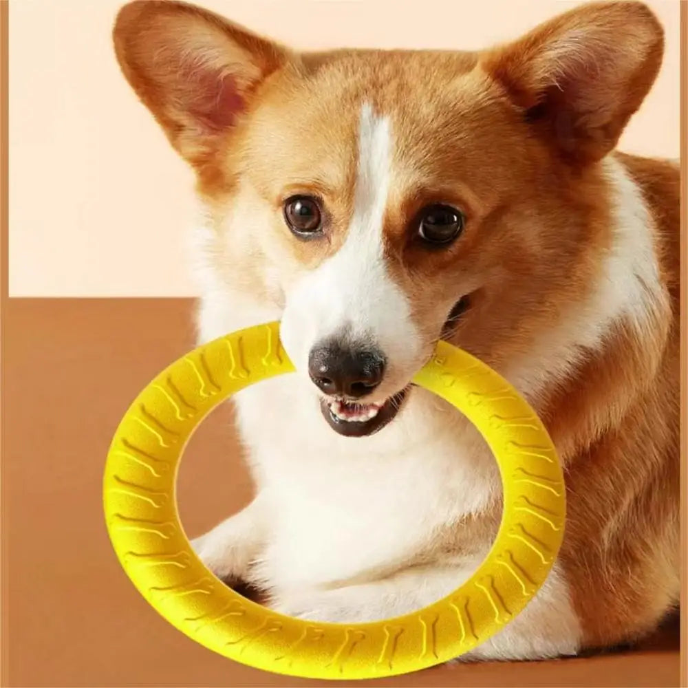 Dog Ring Frisbeed Toys Pet Flying Disk Training Ring Puller Anti-Bite Floating Interactive Supplies Dog Aggressive Chewing Toys