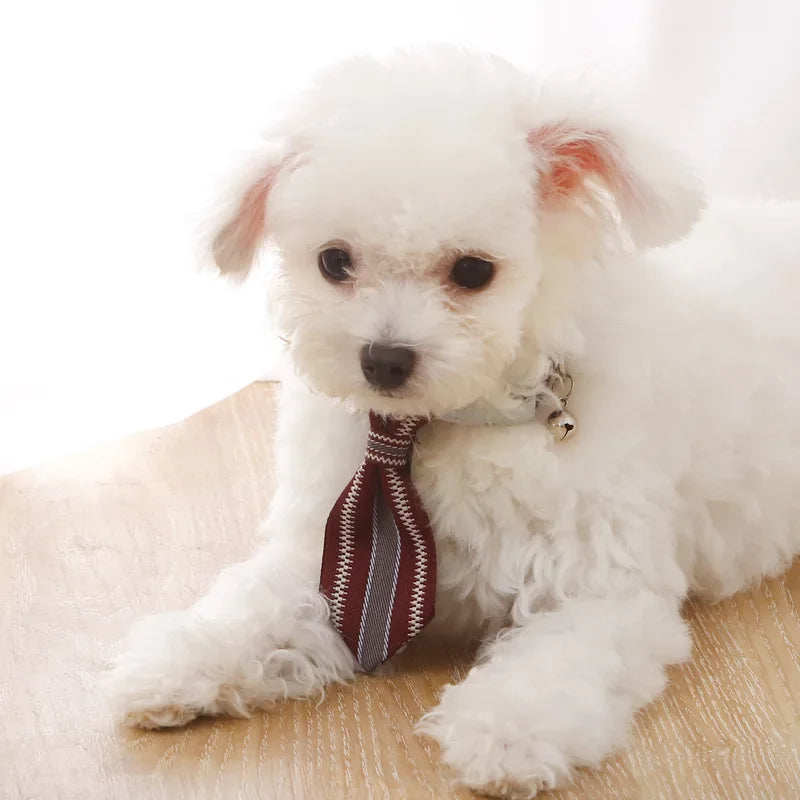 Pet Tie Adjustable Cat Dog Collars Small Medium Large Dogs With Bells Bow Tie Collar Dog Accessories Soft Oxford Puppy Collar