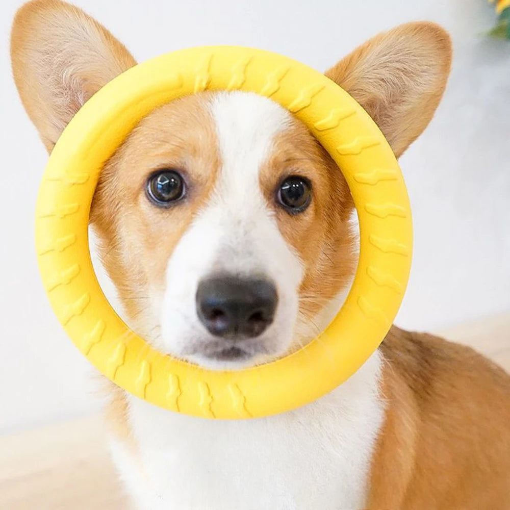 Dog Ring Frisbeed Toys Pet Flying Disk Training Ring Puller Anti-Bite Floating Interactive Supplies Dog Aggressive Chewing Toys