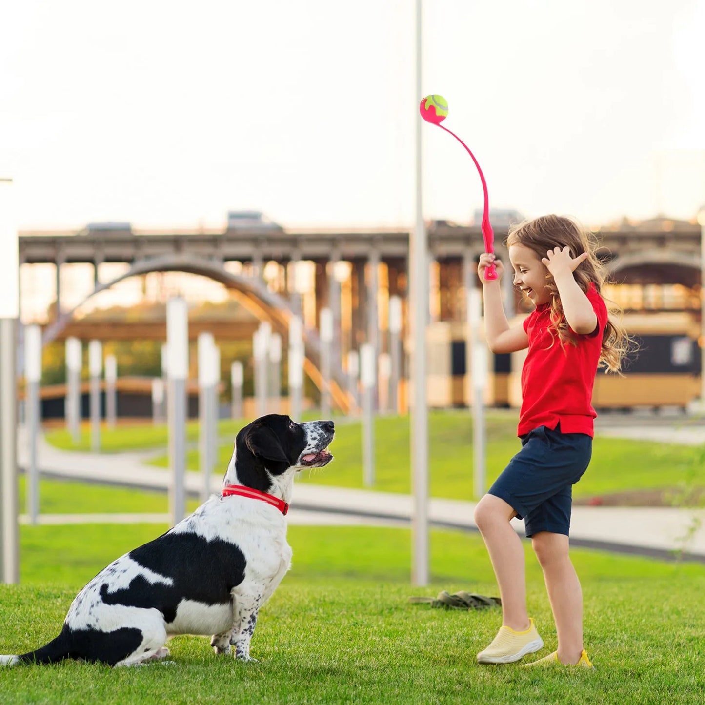 Creative Dog Ball Toy Pet Throwing Stick, Throwing Device, Throwing Toy, Outdoor Dog And Cat Interactive Ball Picking Pet Toy