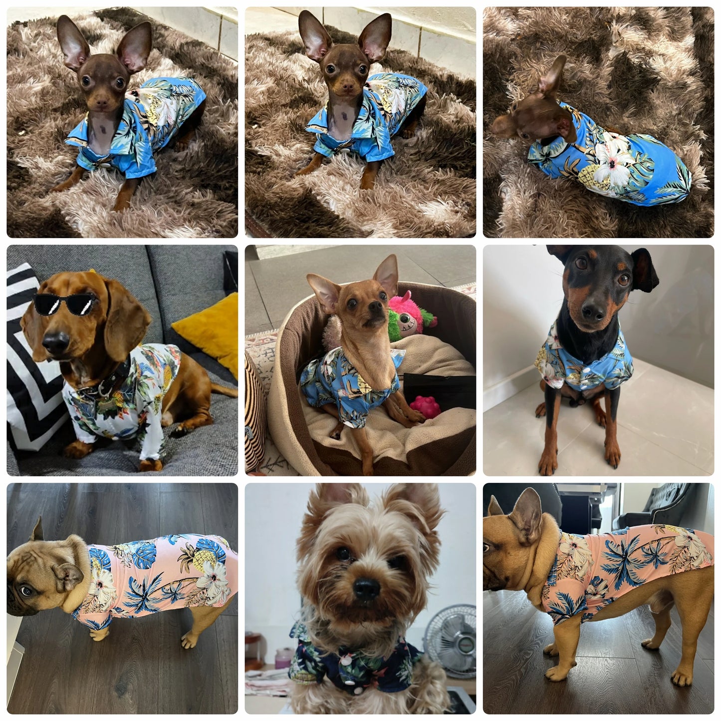 Hawaii Summer Dogs T Shirt For French Bulldog Chihuahua Clothes For Small Dogs Puppy Vest Yorkie Clothing Cats Pet Products