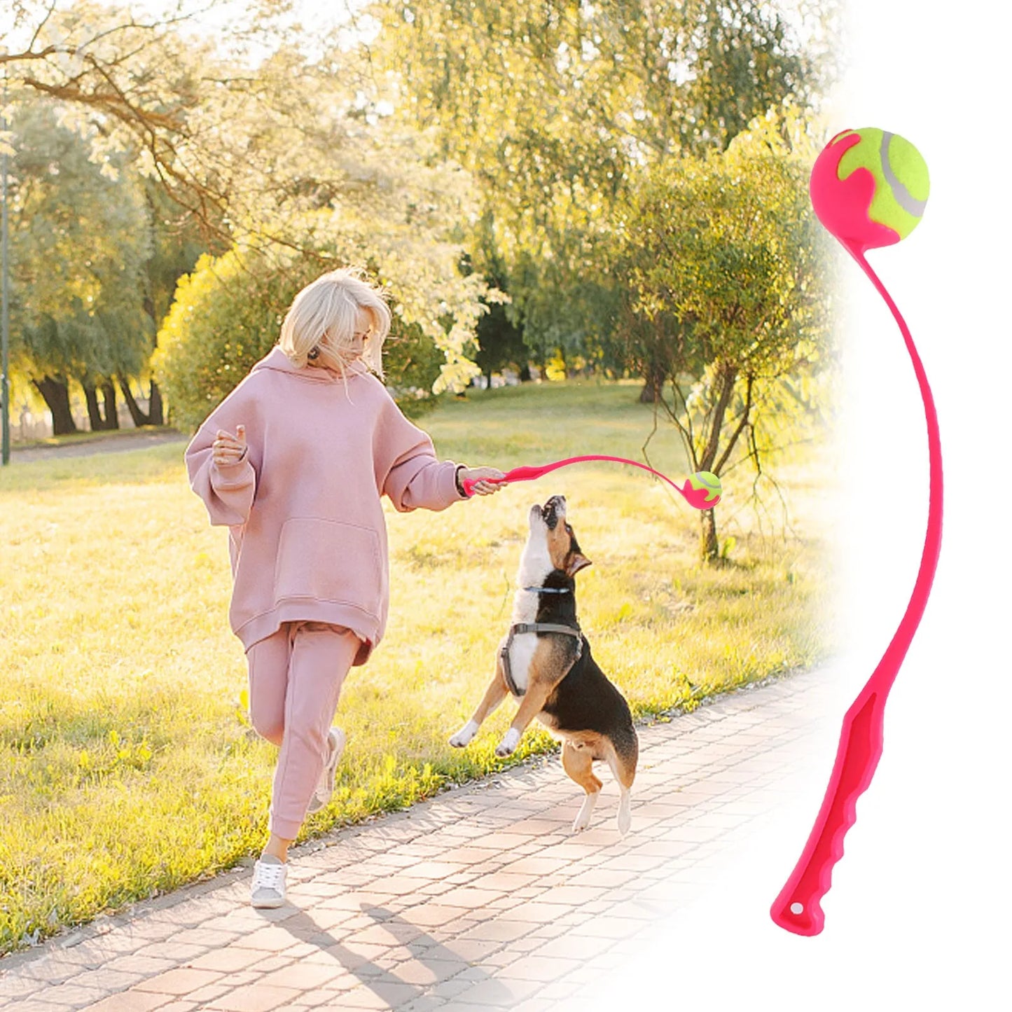 Creative Dog Ball Toy Pet Throwing Stick, Throwing Device, Throwing Toy, Outdoor Dog And Cat Interactive Ball Picking Pet Toy