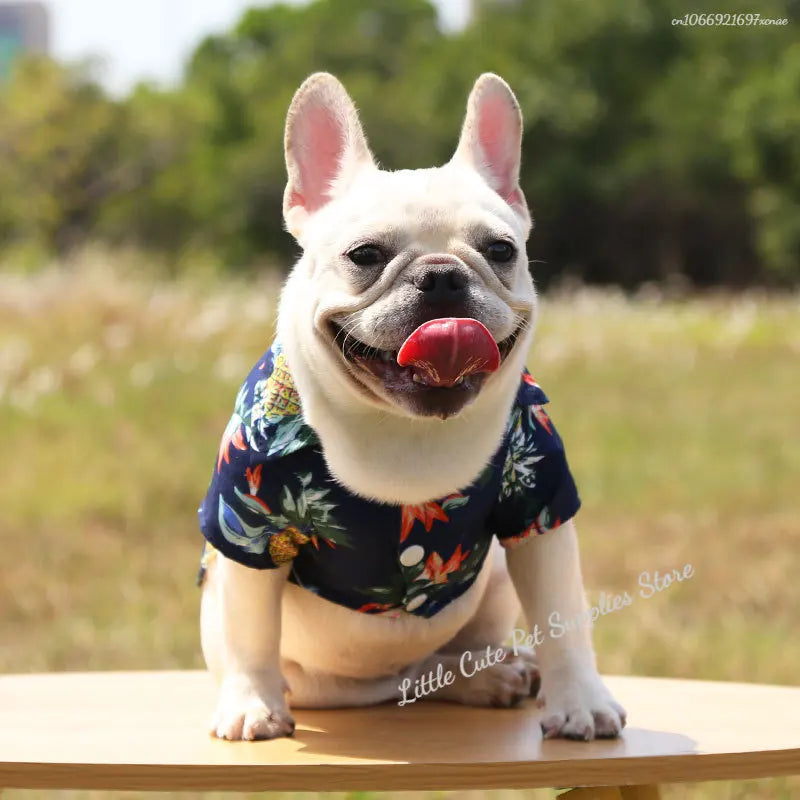 Pet Beach Pineapple Shirts Hawaiian Style Dog Cat Coat Vest Spring Summer Thin Breathable Puppy T-Shirt Clothes Fashion Costumes