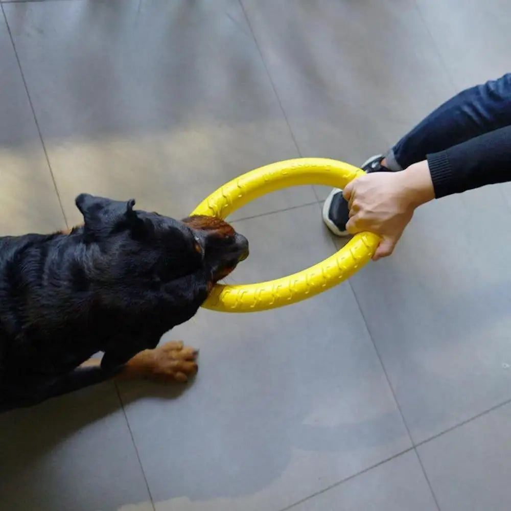 Dog Ring Frisbeed Toys Pet Flying Disk Training Ring Puller Anti-Bite Floating Interactive Supplies Dog Aggressive Chewing Toys