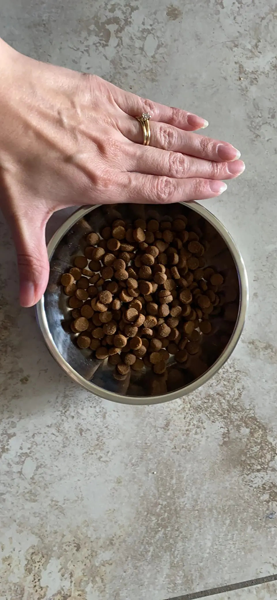 12 /6 PCS Cat Bowls Whisker Friendly, Shallow Wide Flat Cat Food Bowls Stainless Steel,Metal Cat Dishes Whisker Fatigue Relief