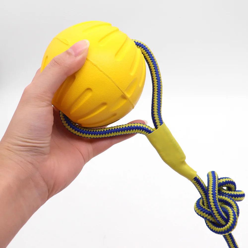 Dog Ring Frisbeed Toys Pet Flying Disk Training Ring Puller Anti-Bite Floating Interactive Supplies Dog Aggressive Chewing Toys