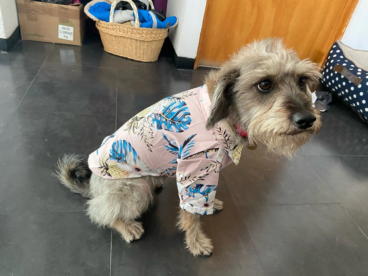 Hawaii Summer Dogs T Shirt For French Bulldog Chihuahua Clothes For Small Dogs Puppy Vest Yorkie Clothing Cats Pet Products